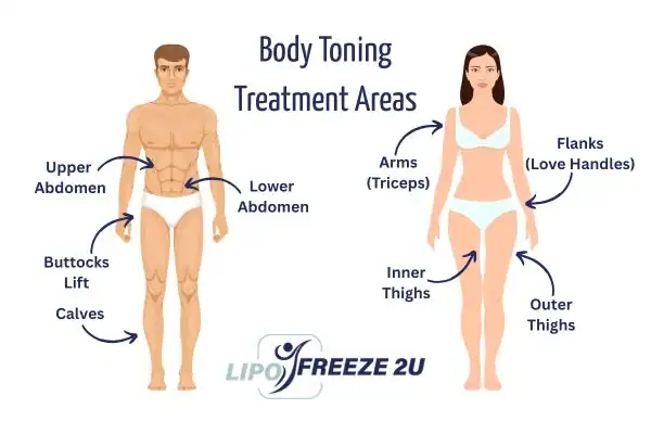 Graphic showing where you can have Body toning Treatment Gravesend on your body